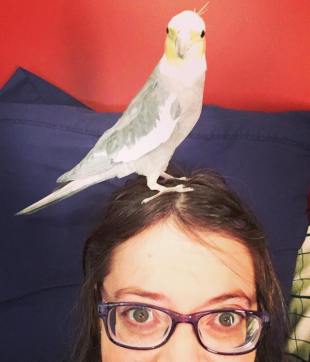 26904400_2008464602734633_855714768363561149_n