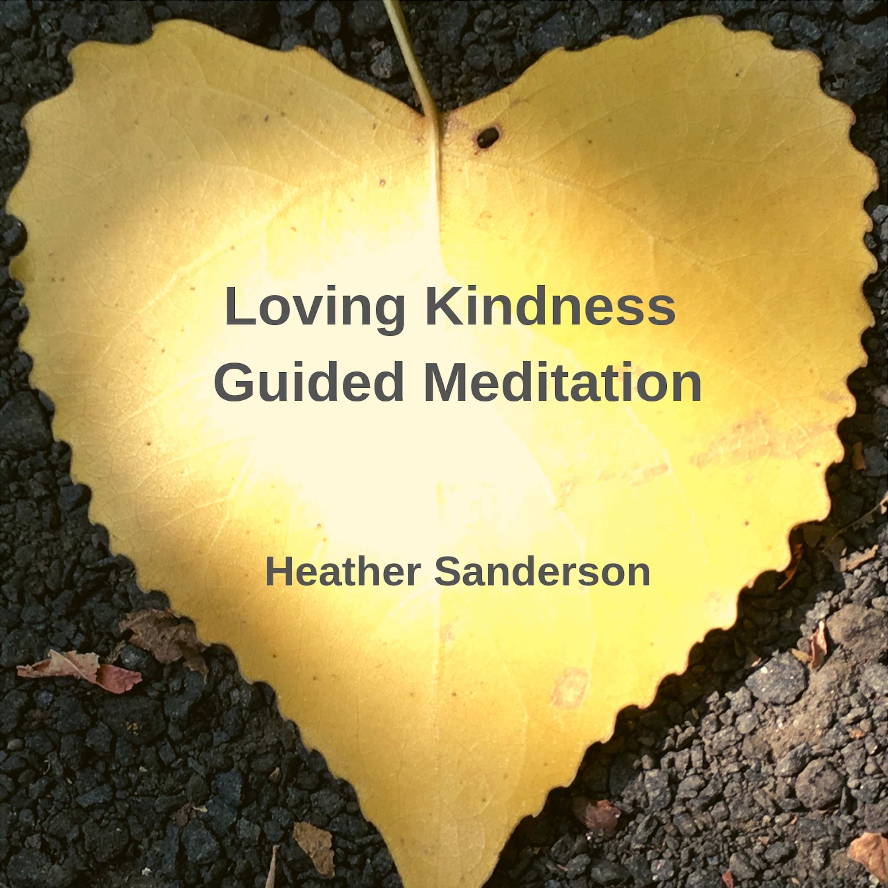 Album Cover - Loving Kindness Guided Meditation