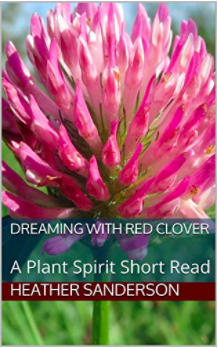 Screen Shot 2020-04-09 at 10.42.28 AM