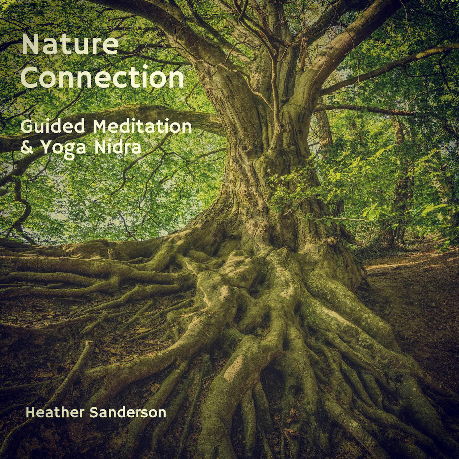 Nature Connection Album