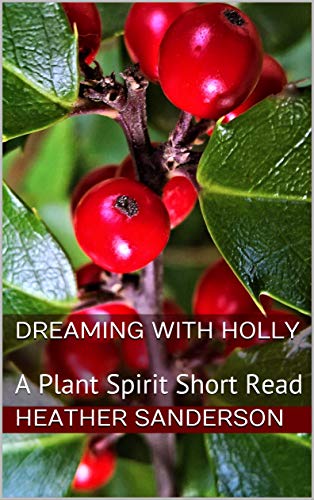 DreamingwithHolly
