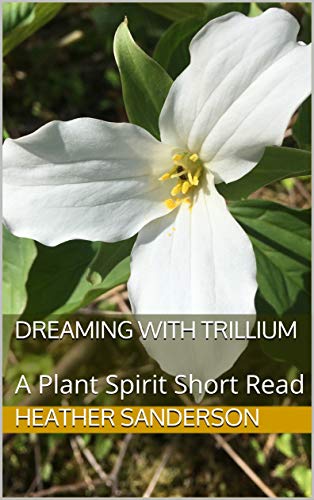 DreamingwithTrillium